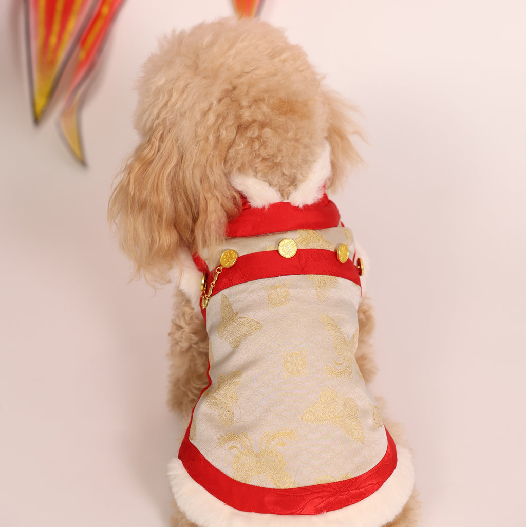 Zhuangsheng Wing New Year Tang Pet Outfit – Brother Style