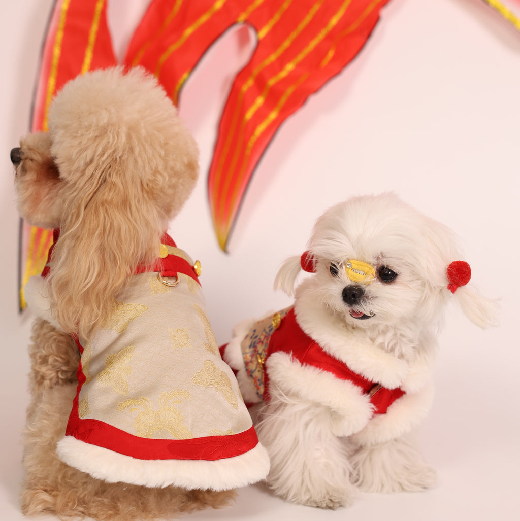 Zhuangsheng Wing New Year Tang Pet Outfit – Brother Style