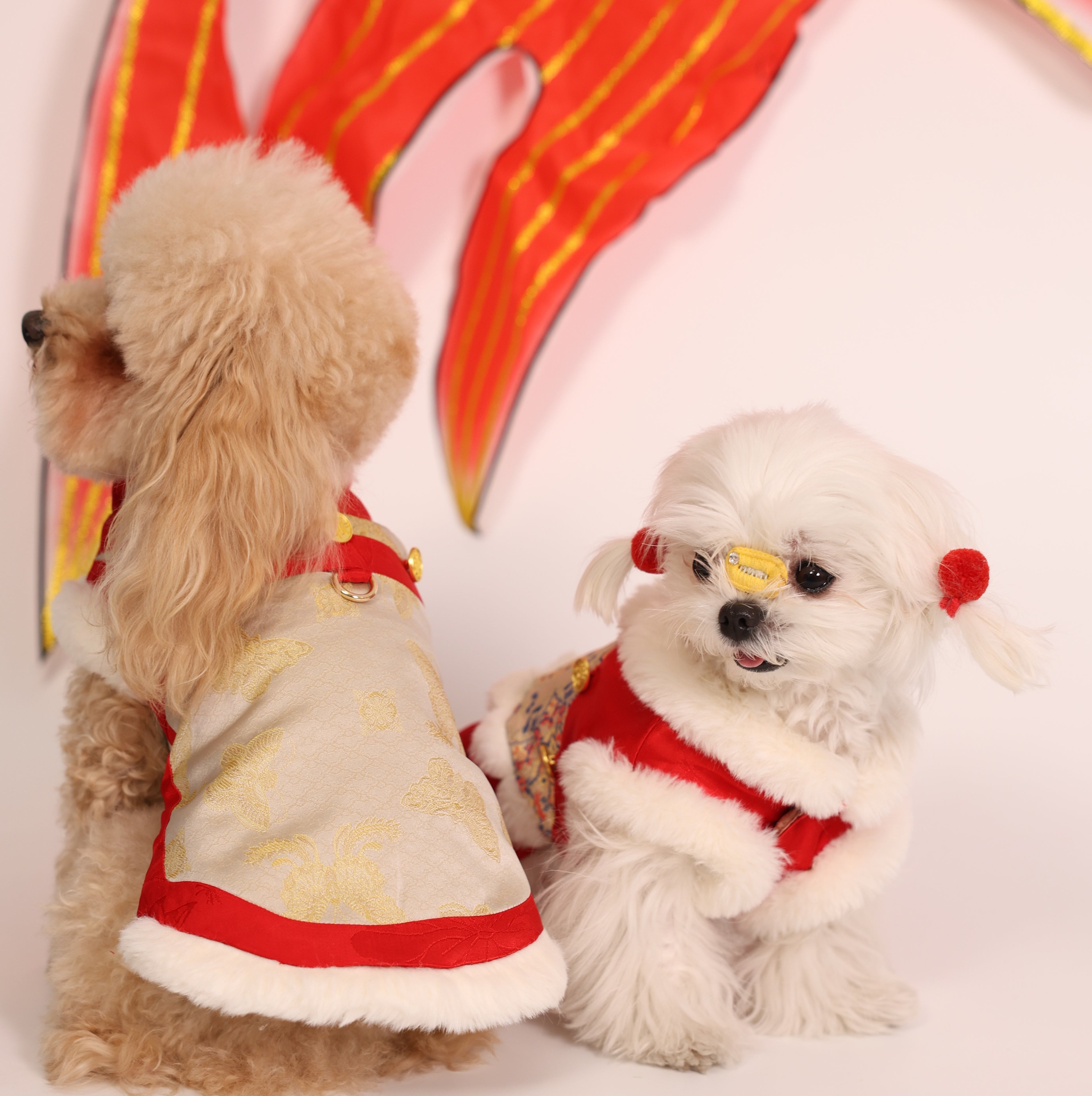 Zhuangsheng Wing New Year Tang Pet Outfit – Brother Style