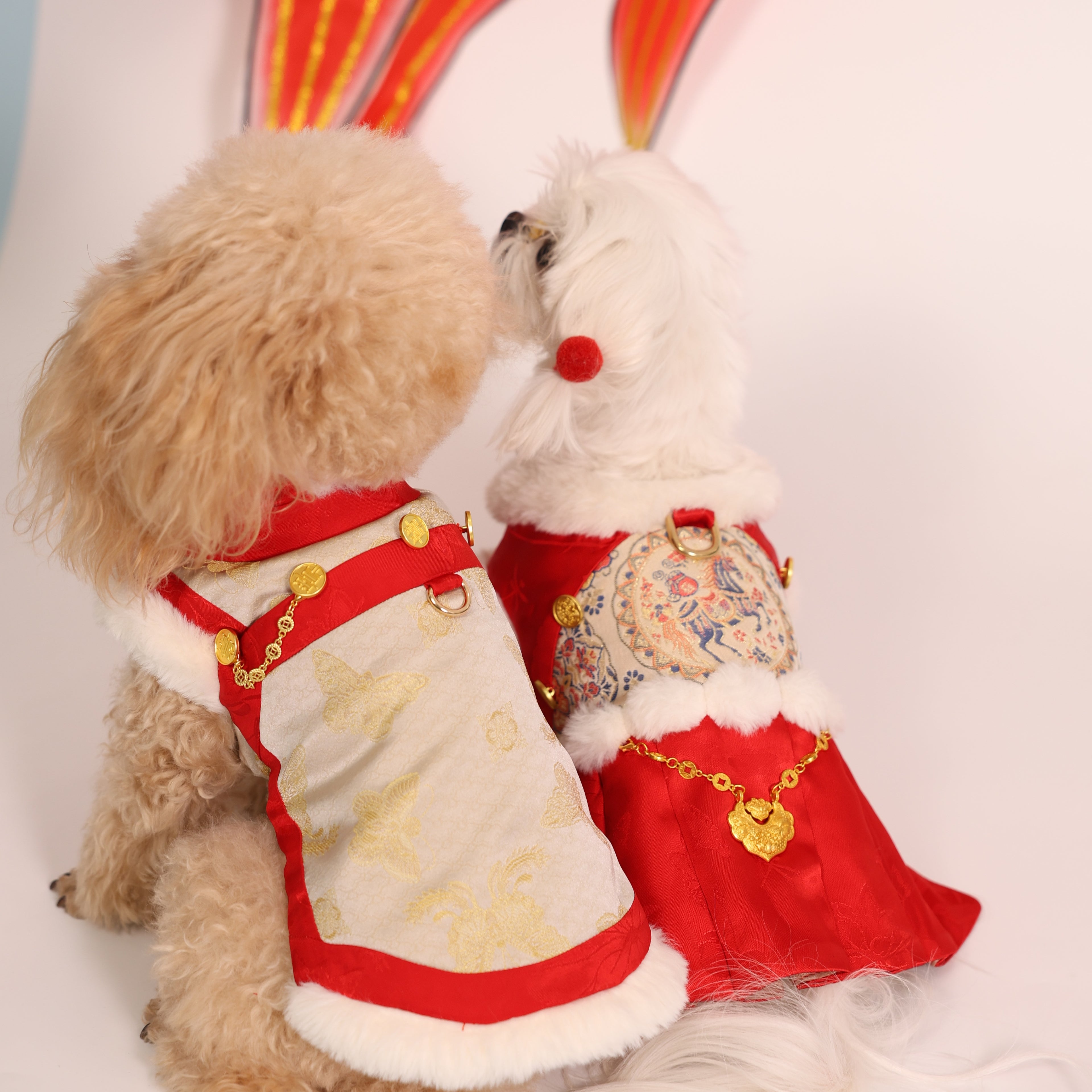 Zhuangsheng Wing New Year Tang Pet Outfit – Brother Style