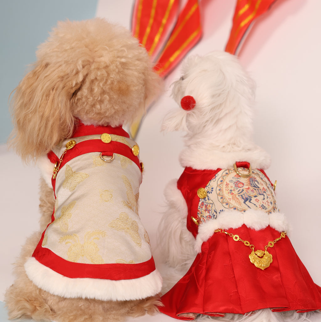 Zhuangsheng Wing New Year Tang Pet Outfit – Brother Style