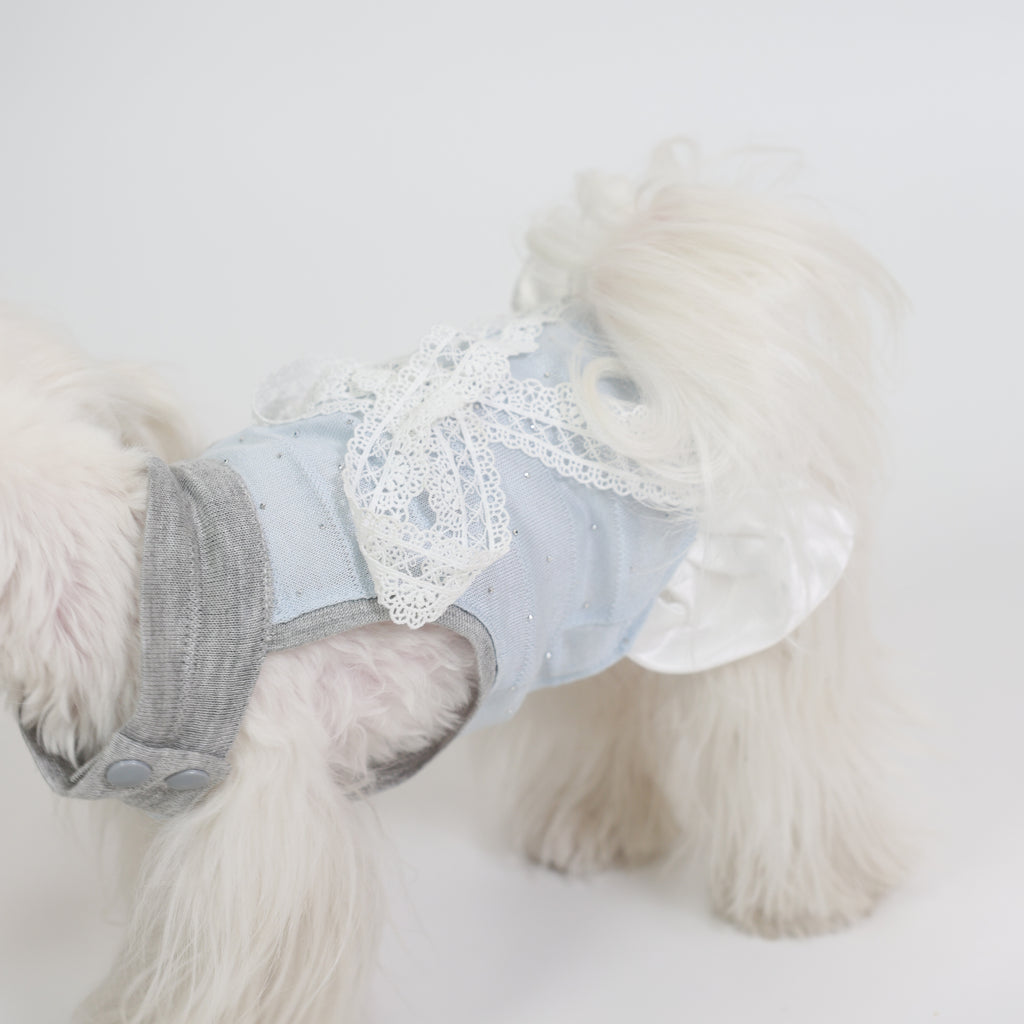 Blue Love Song Lace Pet Dress
