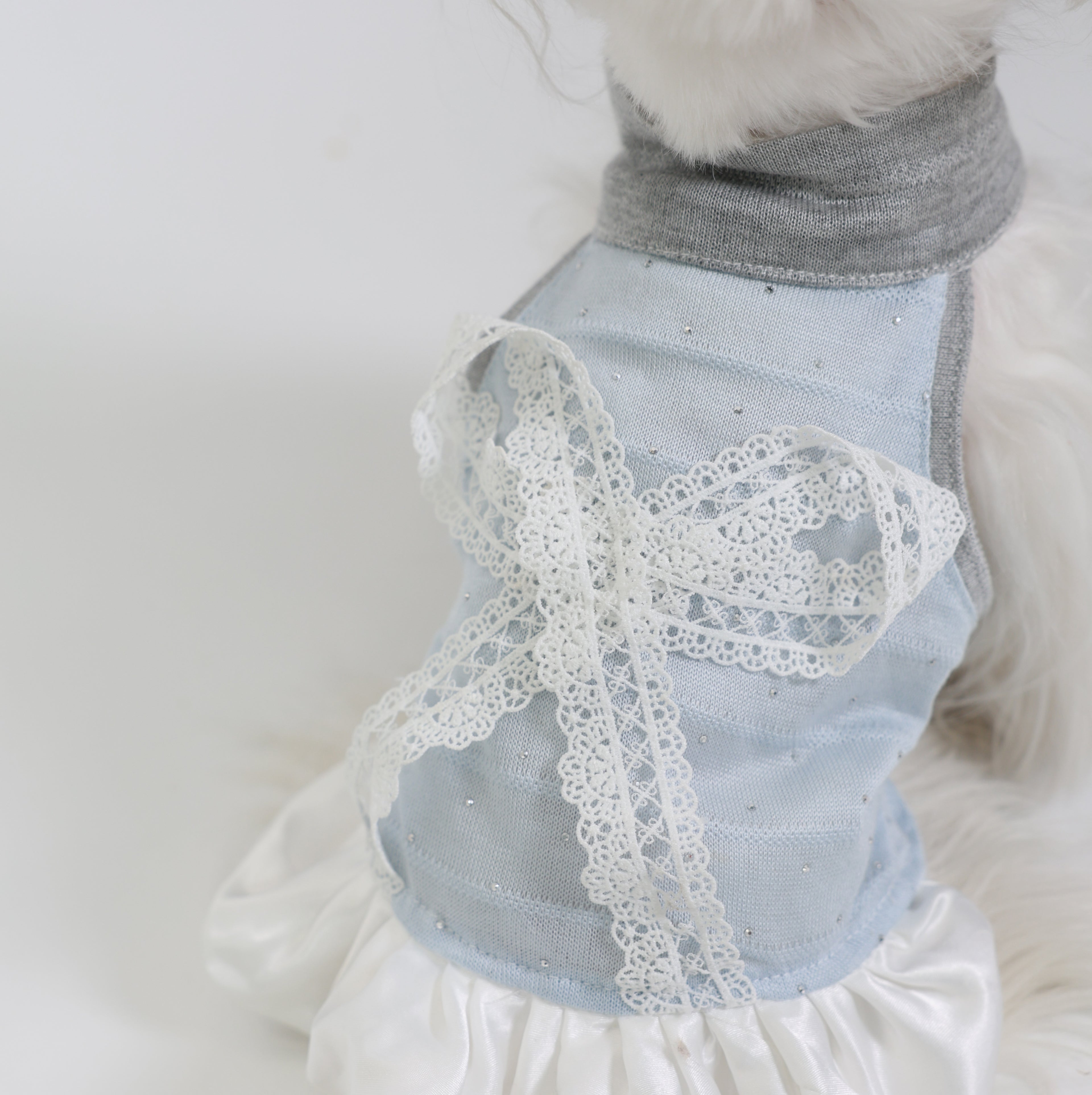 Blue Love Song Lace Pet Dress