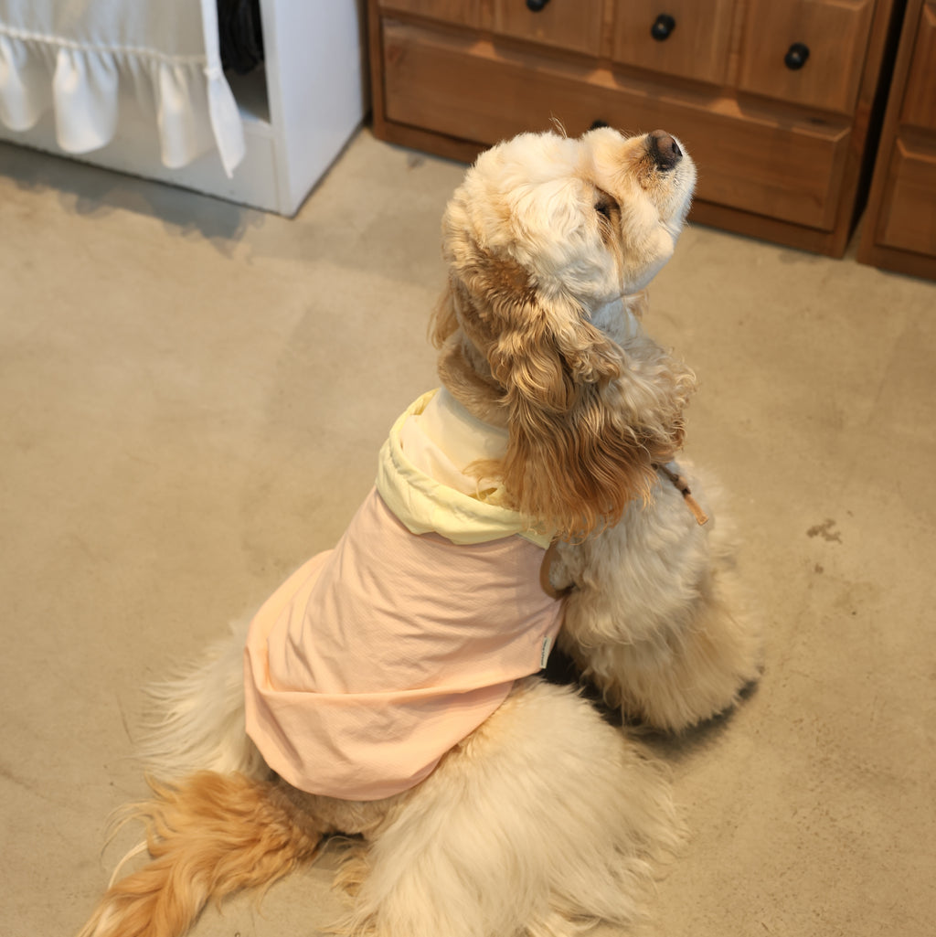 Soda Skin Sun-Protection Cooling Pet Jacket