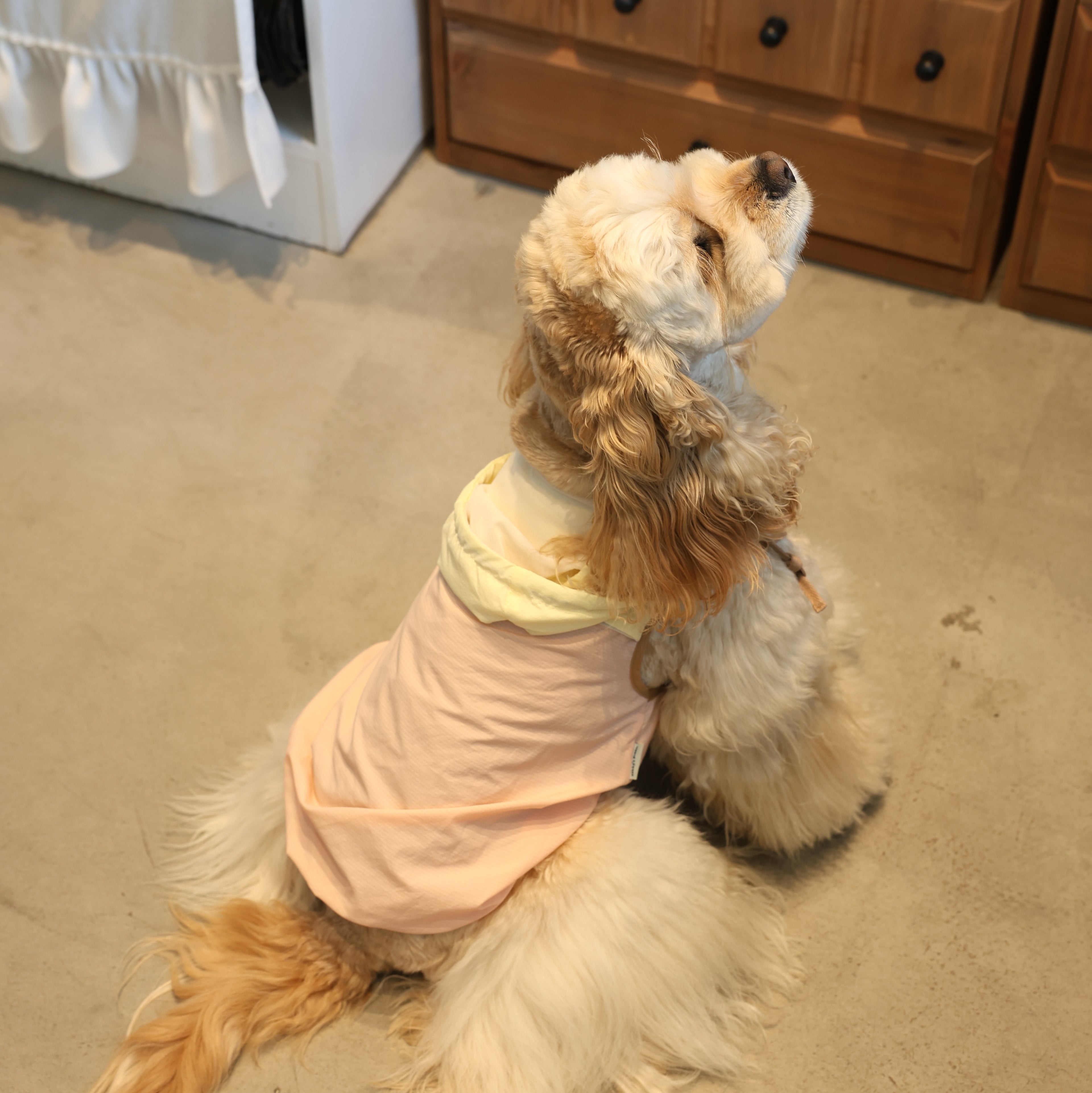 Soda Skin Sun-Protection Cooling Pet Jacket