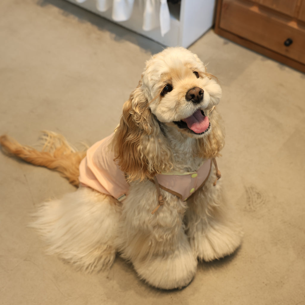 Soda Skin Sun-Protection Cooling Pet Jacket