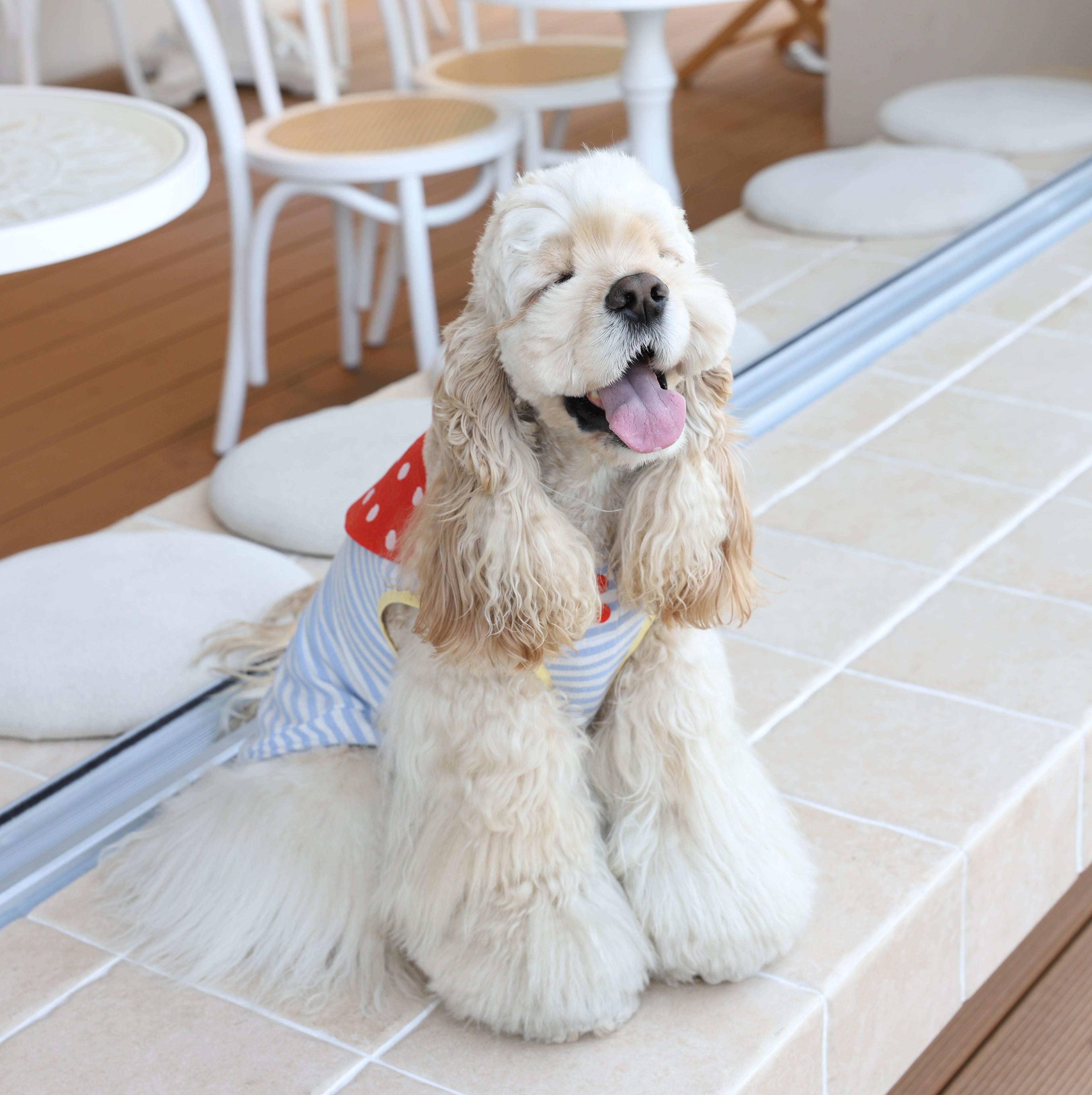 Little Bear Duty Sailor Stripe Cooling Pet Tank