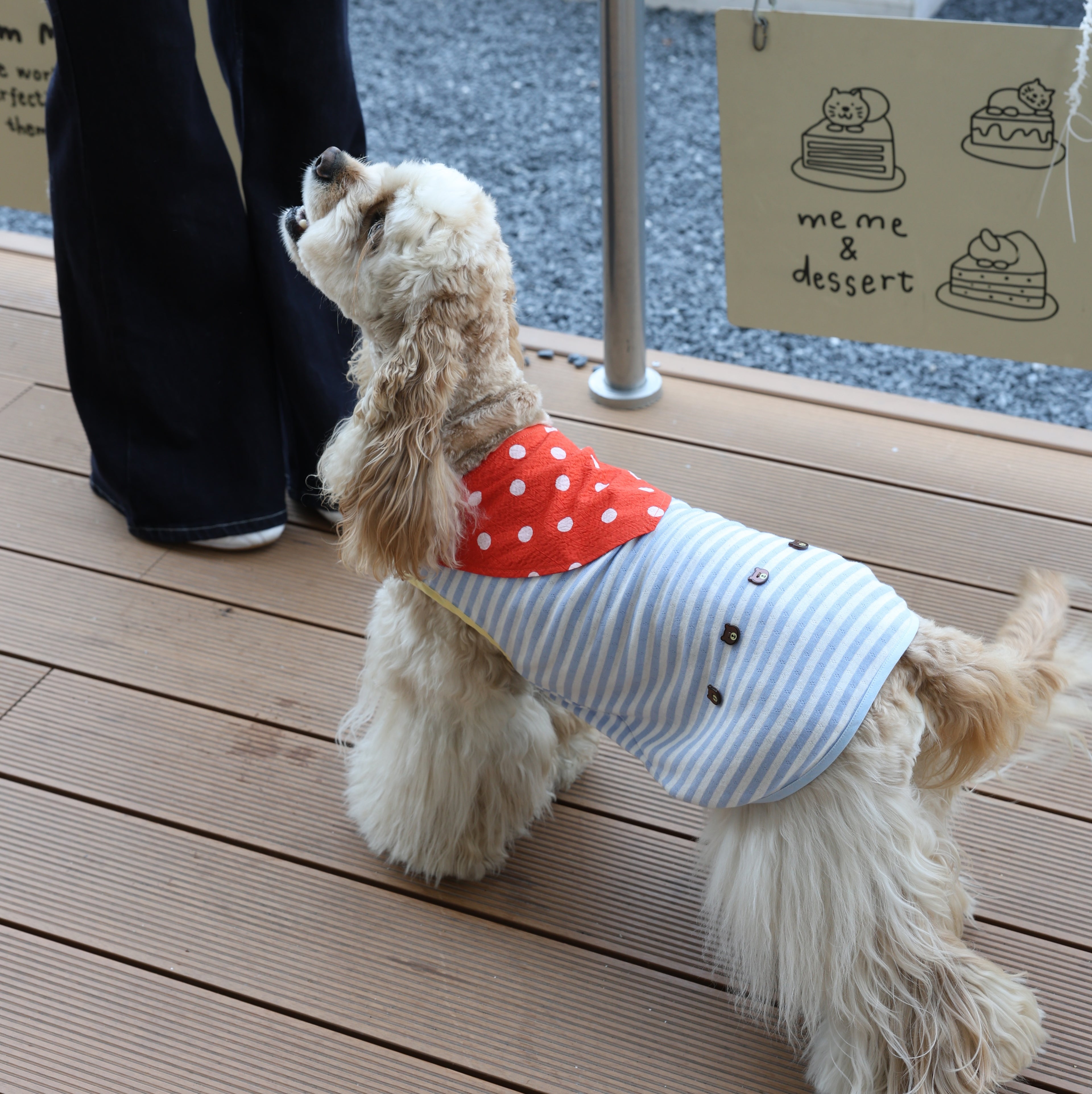 Little Bear Duty Sailor Stripe Cooling Pet Tank