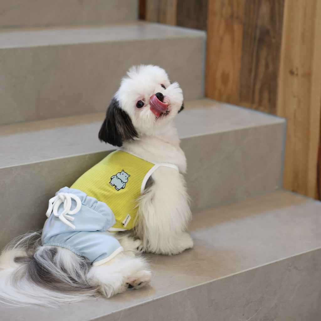 Recess Time Cooling Ice-Silk Pet Onesie