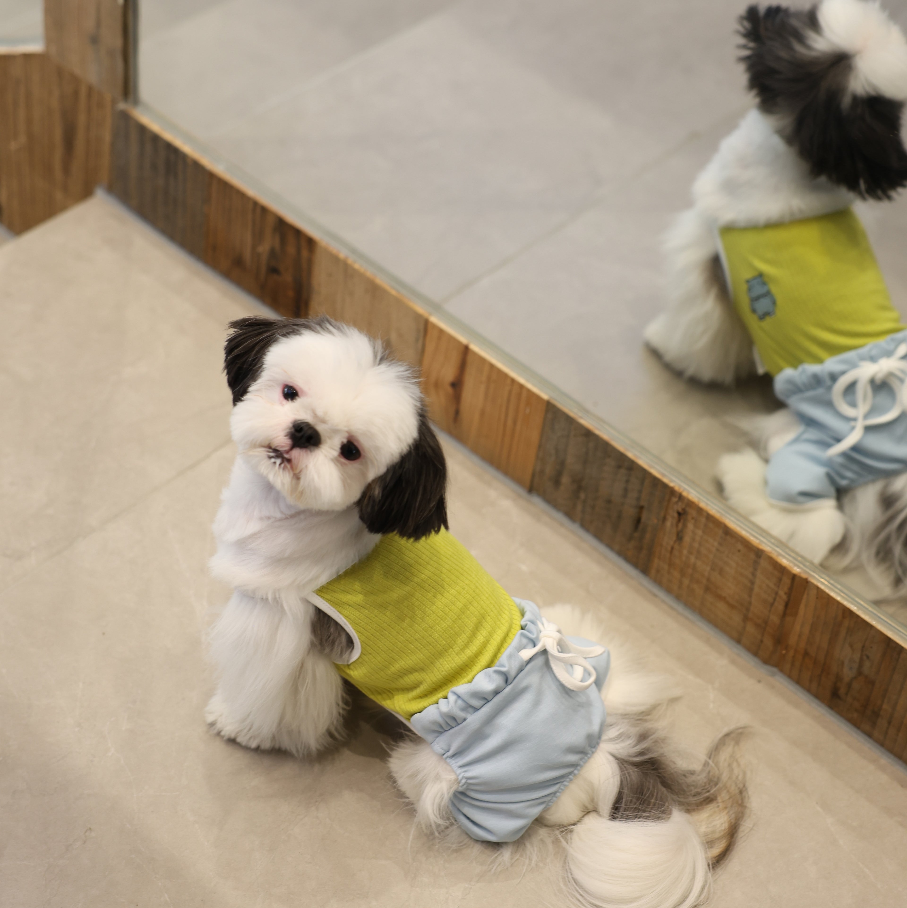 Recess Time Cooling Ice-Silk Pet Onesie