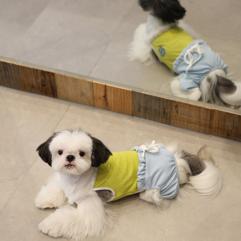 Recess Time Cooling Ice-Silk Pet Onesie