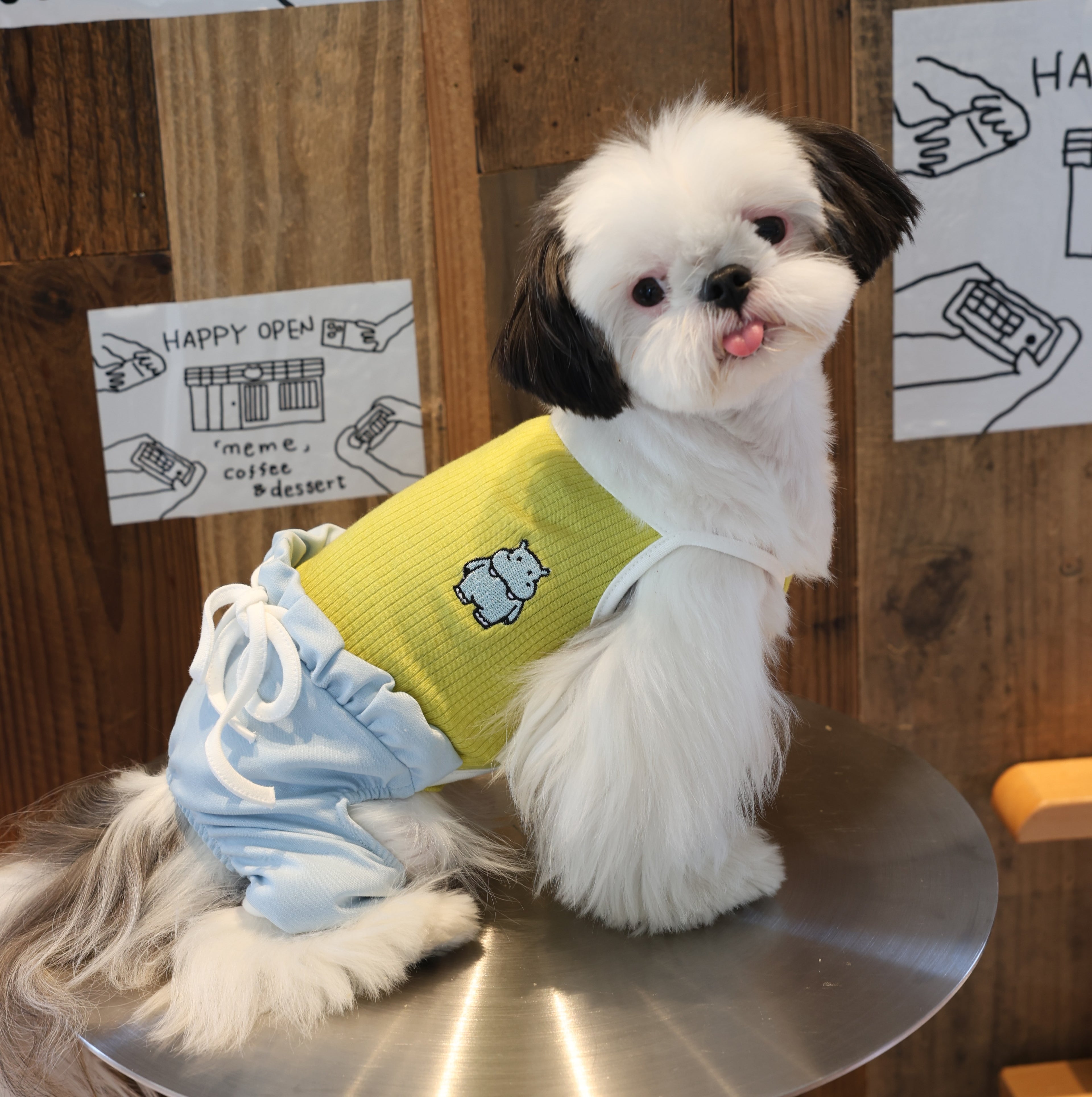 Recess Time Cooling Ice-Silk Pet Onesie