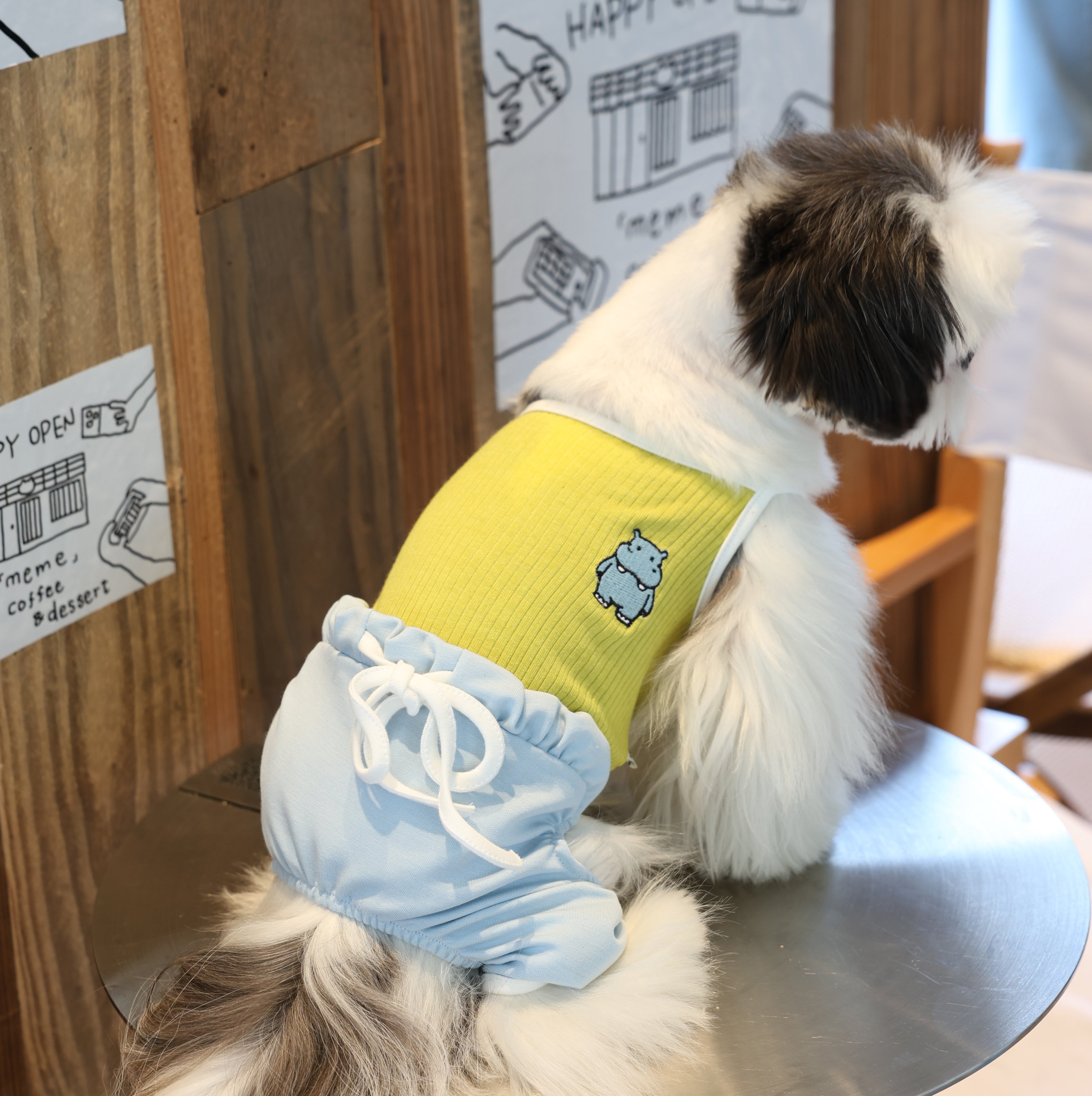 Recess Time Cooling Ice-Silk Pet Onesie