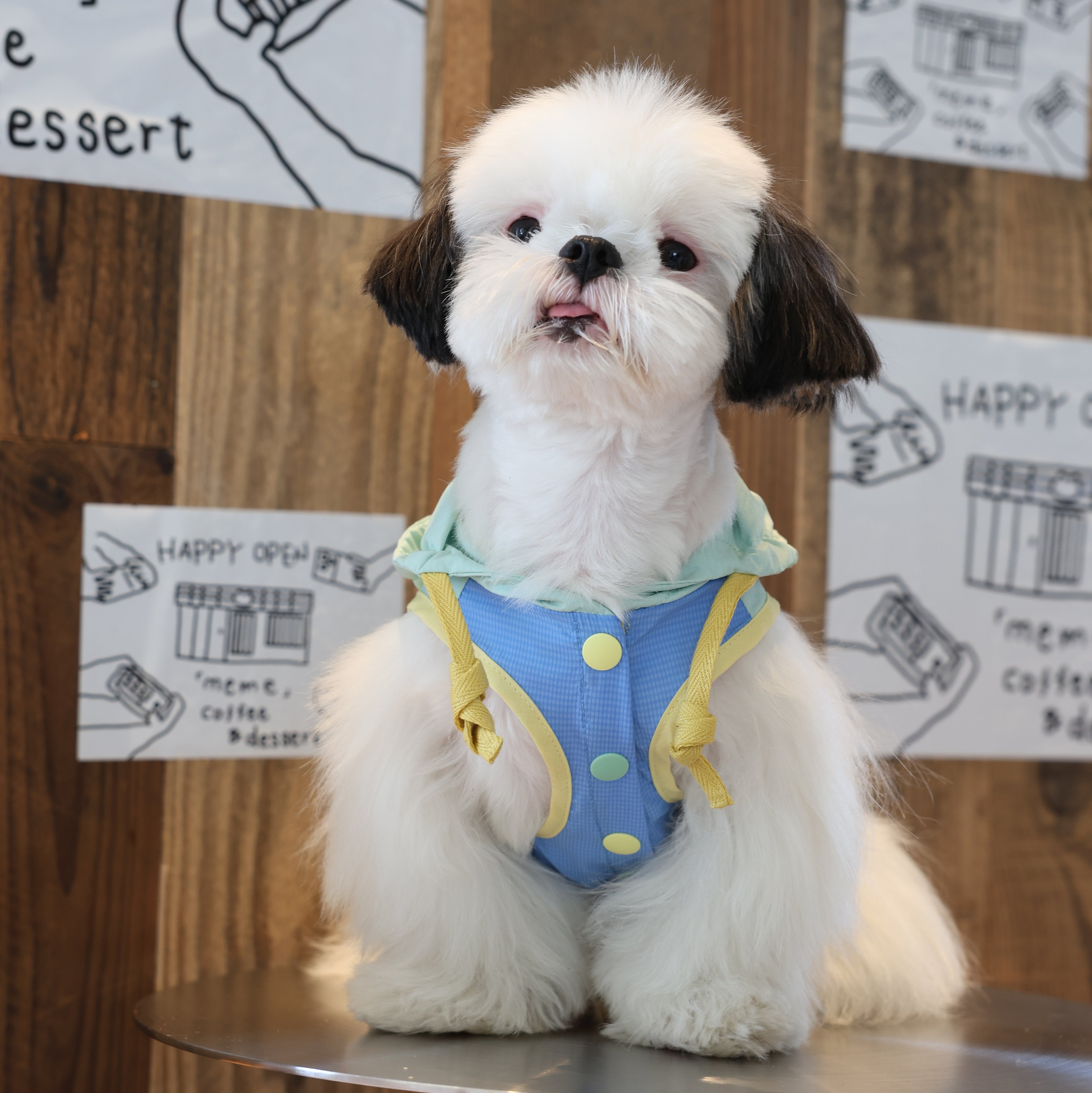 Soda Skin Sun-Protection Cooling Pet Jacket