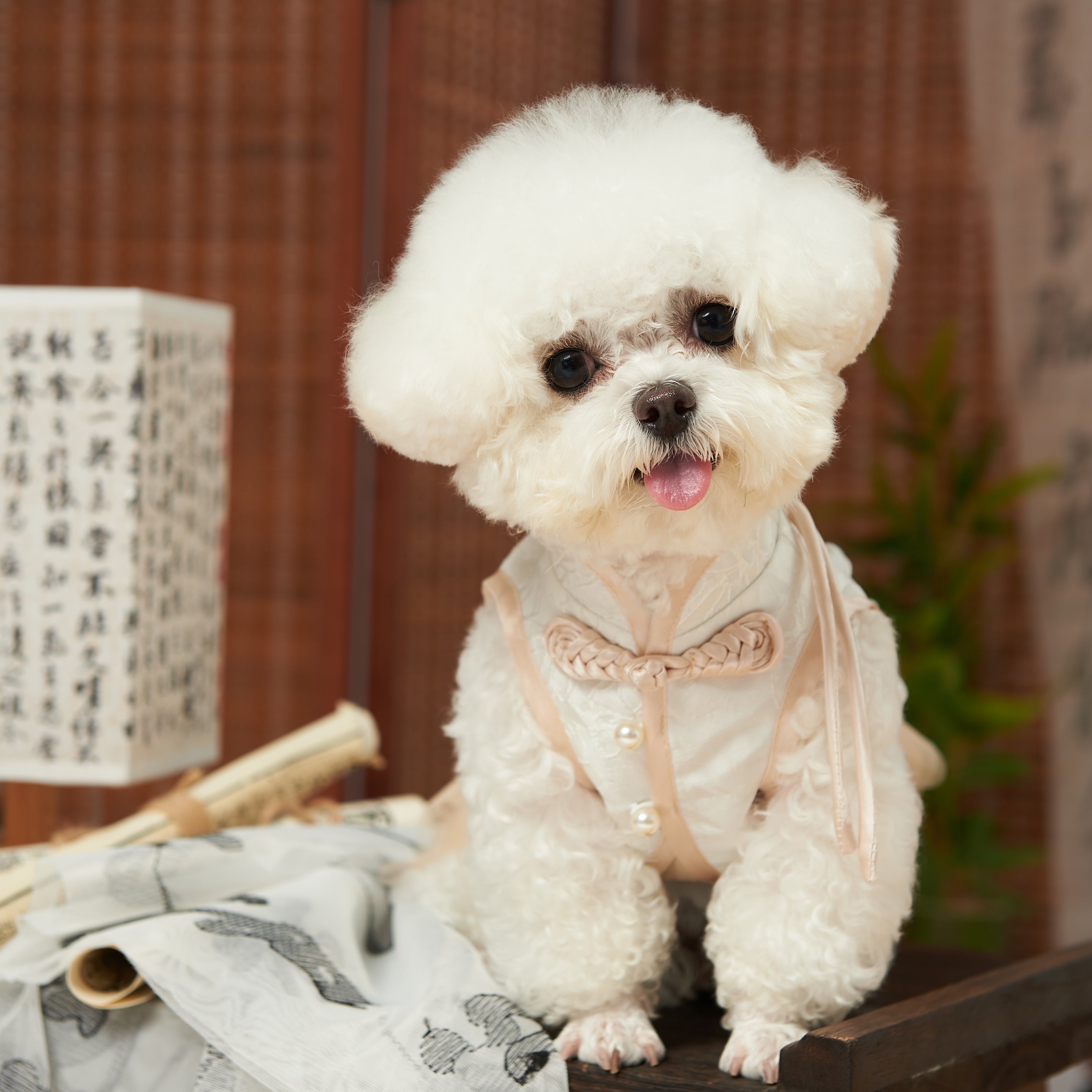 New Chinese Tang Pet Outfit – Sister Style
