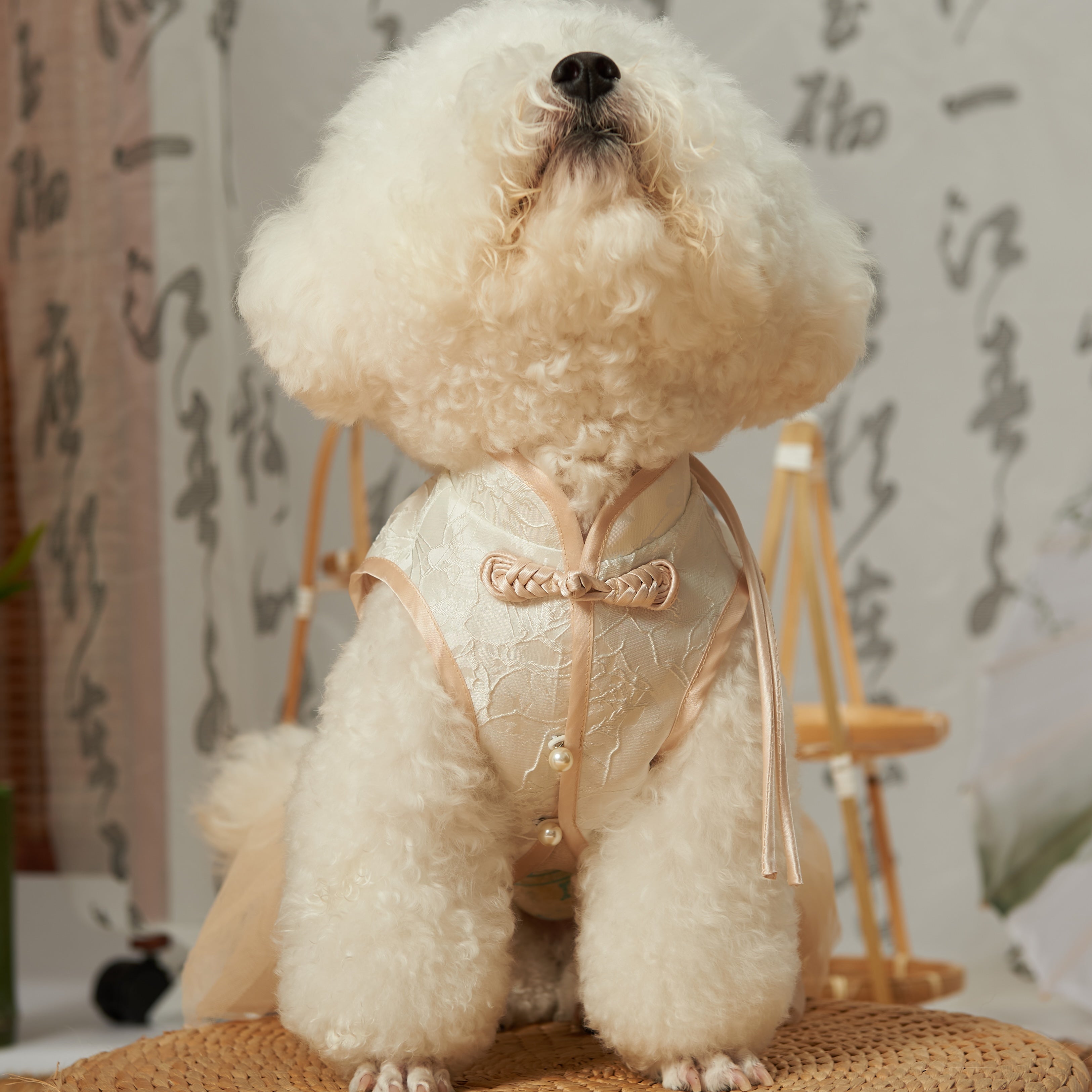 New Chinese Tang Pet Outfit – Sister Style
