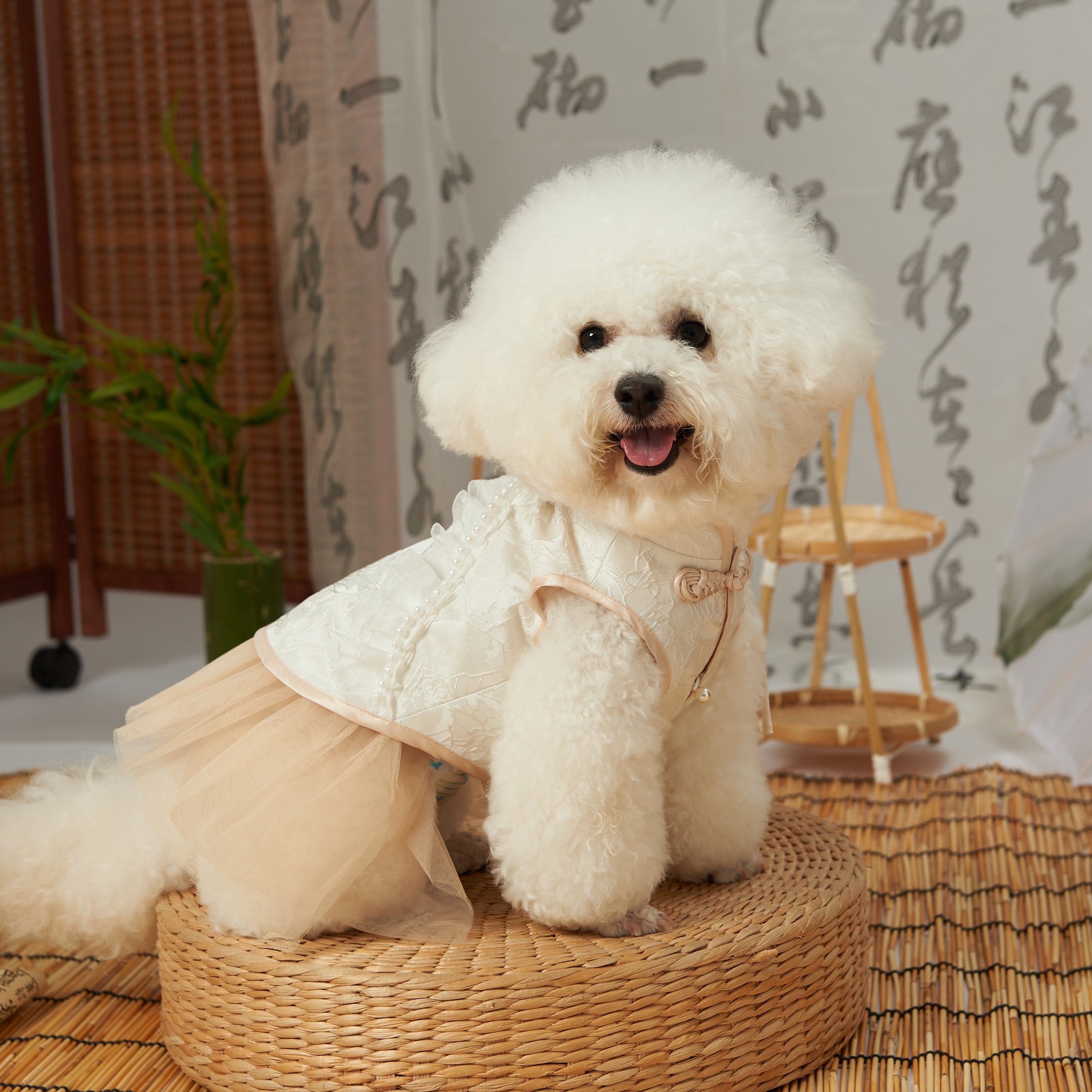 New Chinese Tang Pet Outfit – Sister Style