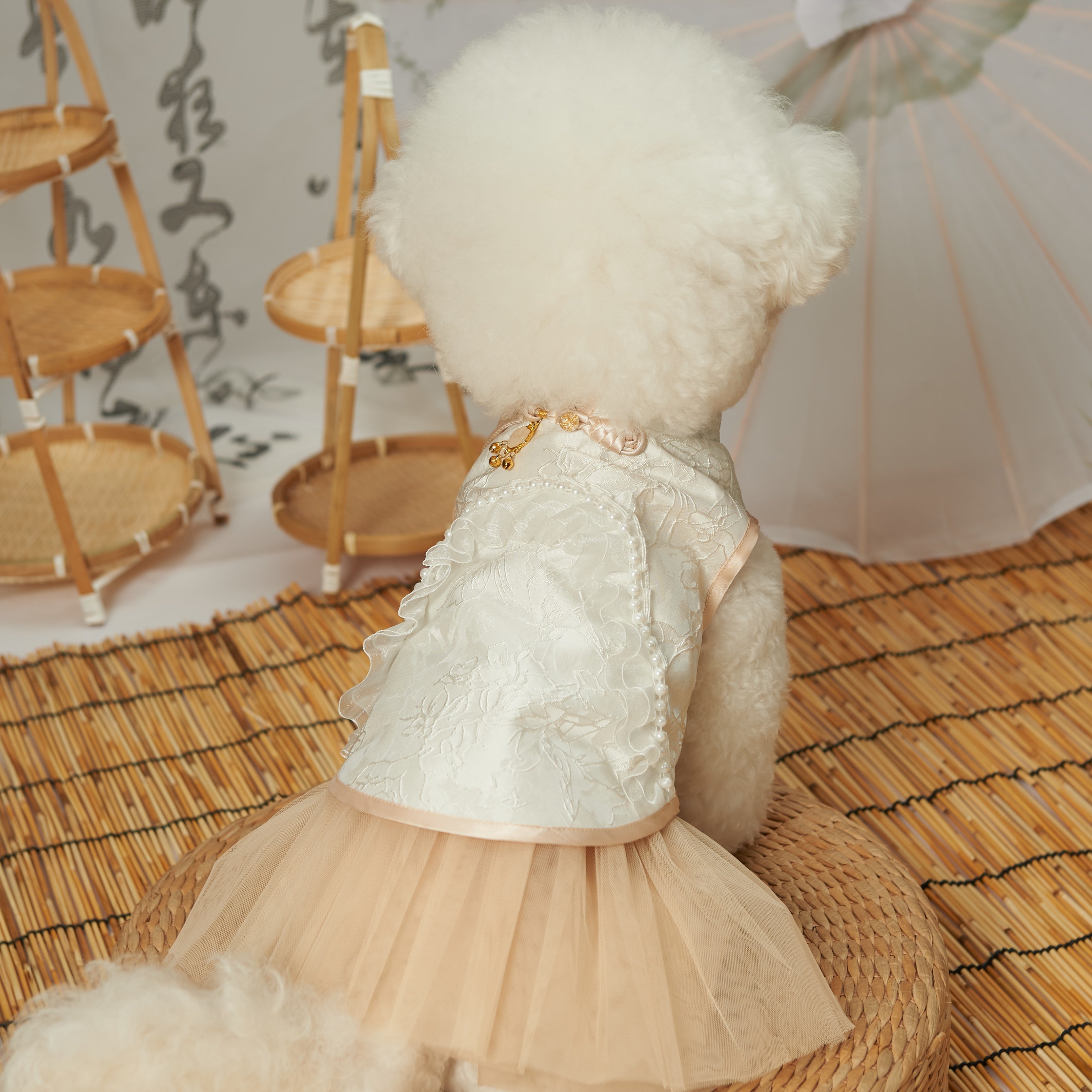 New Chinese Tang Pet Outfit – Sister Style
