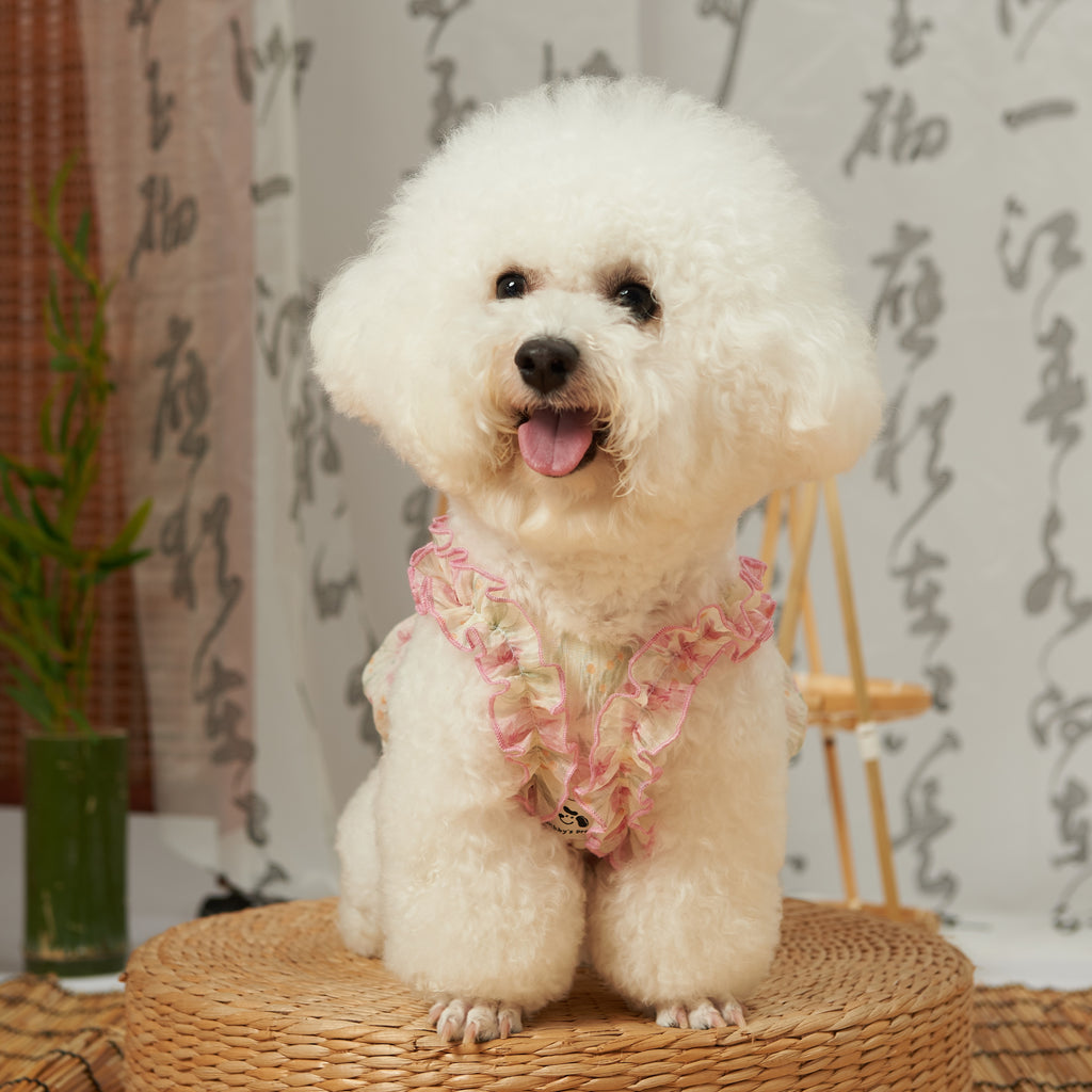 Tencel Bud Pet Dress for Summer