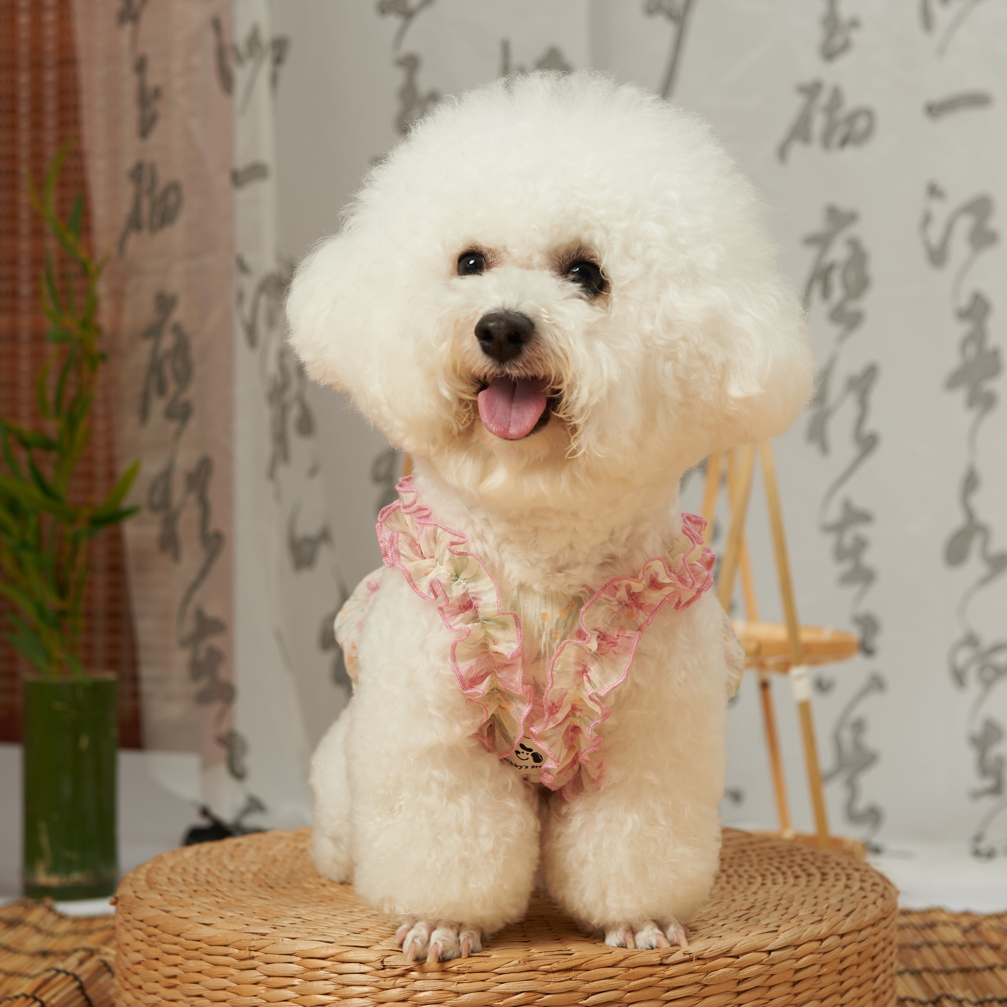 Tencel Bud Pet Dress for Summer