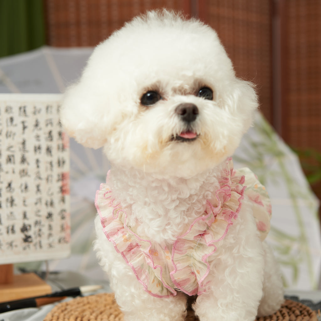 Tencel Bud Pet Dress for Summer