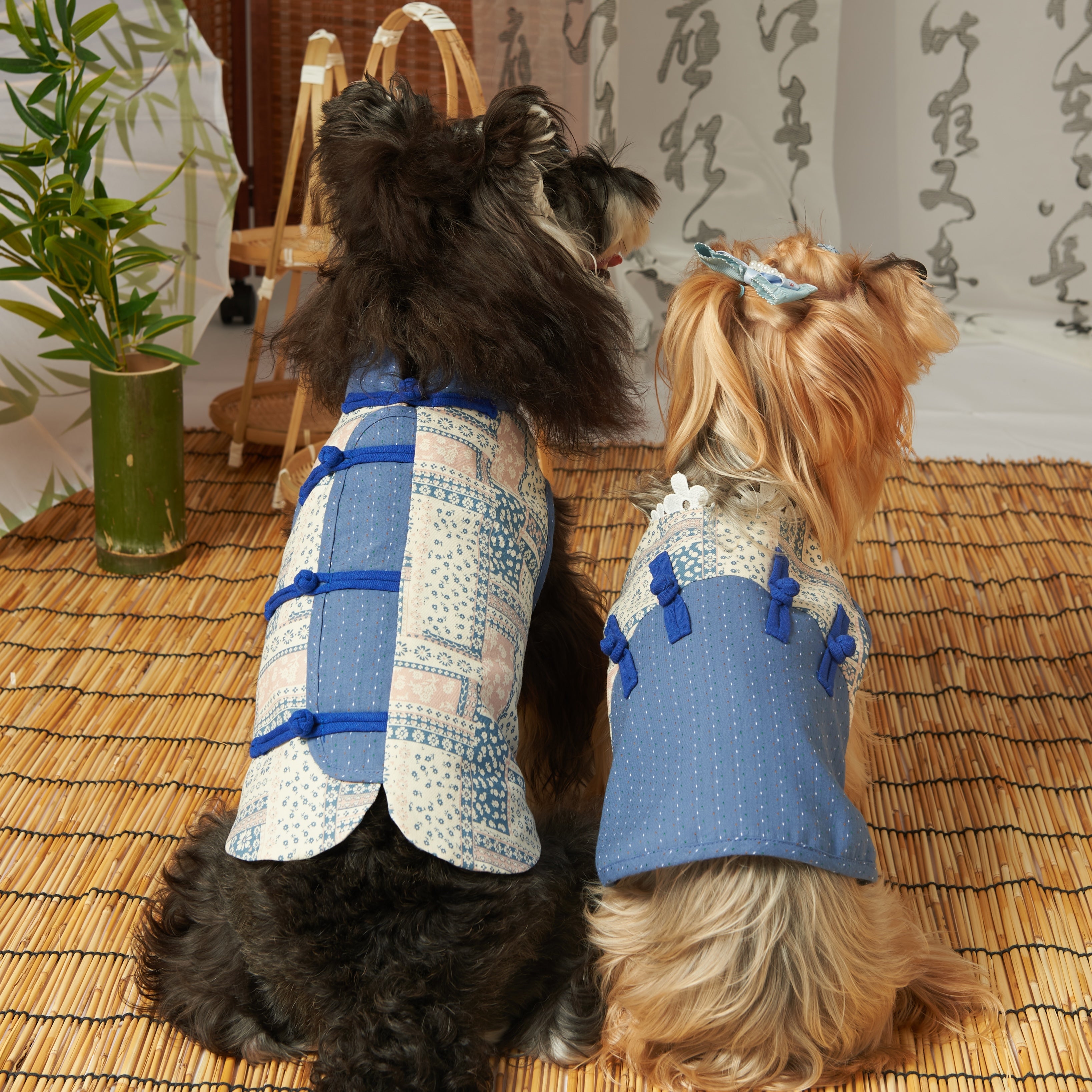 Cotton New Chinese Tang Pet Dress