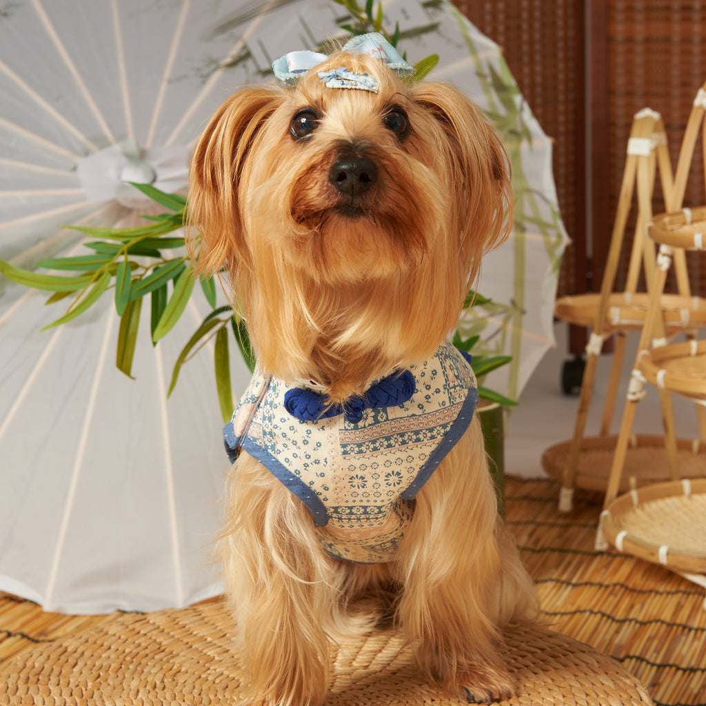 Cotton New Chinese Tang Pet Dress