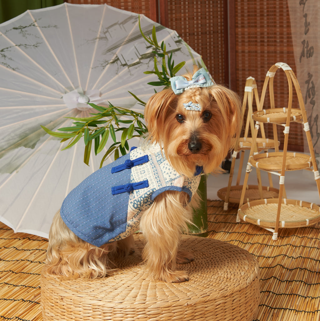 Cotton New Chinese Tang Pet Dress