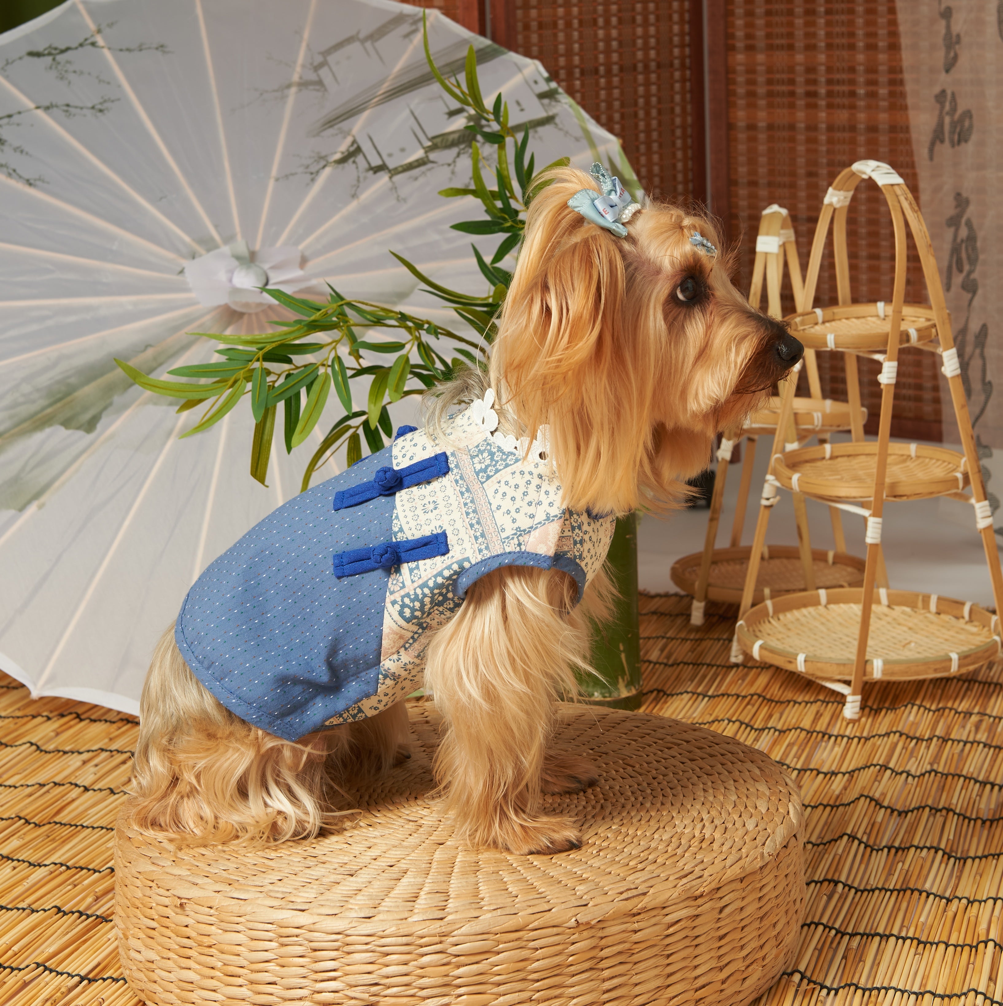 Cotton New Chinese Tang Pet Dress