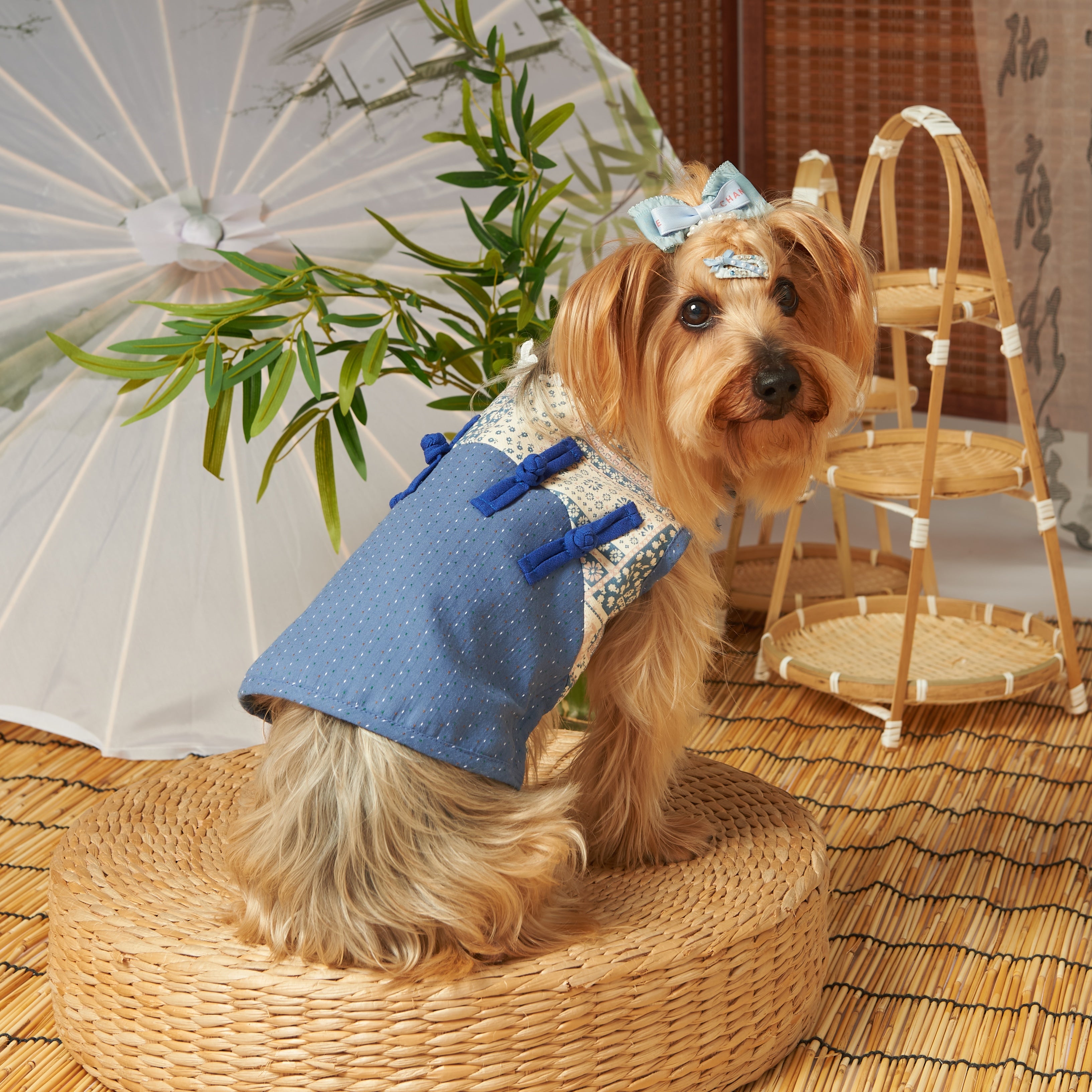 Cotton New Chinese Tang Pet Dress