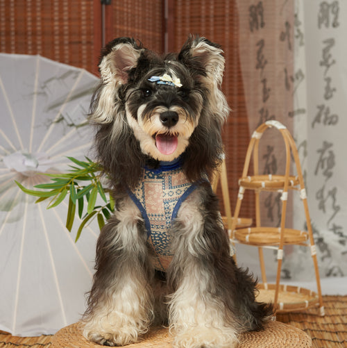 Cotton New Chinese Tang Pet Dress