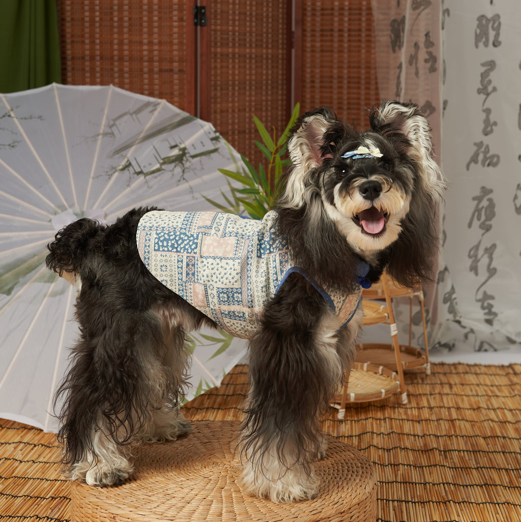 Cotton New Chinese Tang Pet Dress