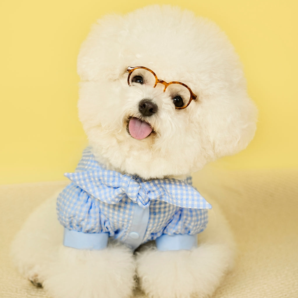 Miu-Inspired Pet Shirt & Vest Set