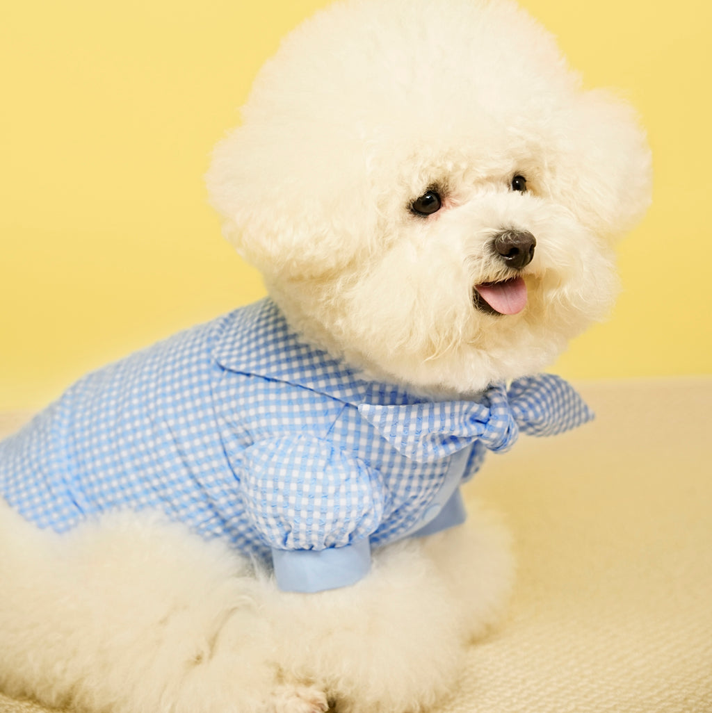 Miu-Inspired Pet Shirt & Vest Set