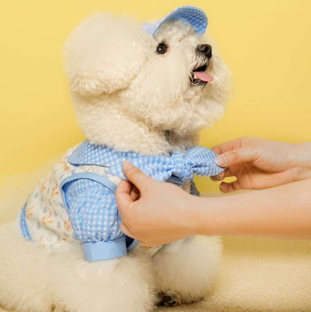 Miu-Inspired Pet Shirt & Vest Set