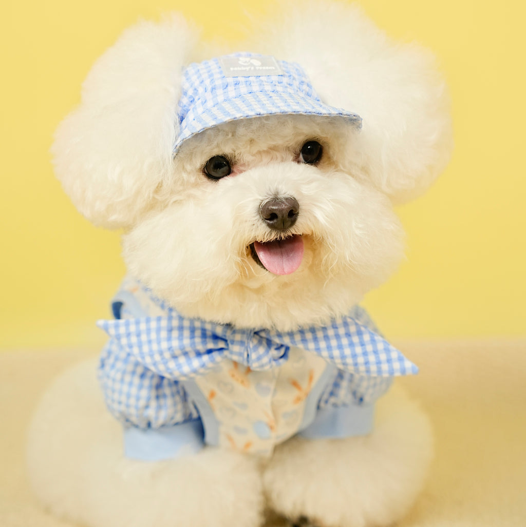 Miu-Inspired Pet Shirt & Vest Set