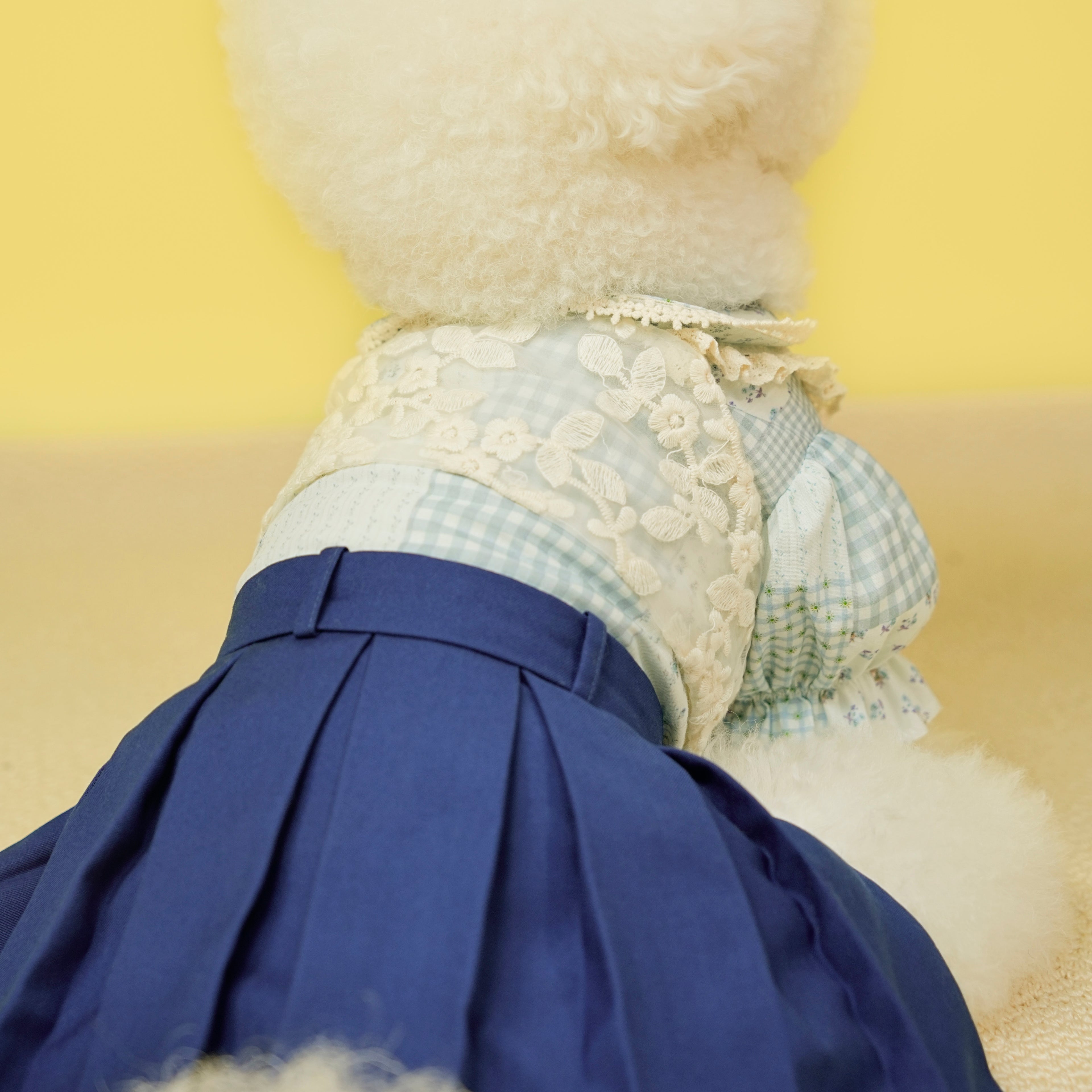 Early Spring Pet Shirt Dress for Small & Medium Dogs