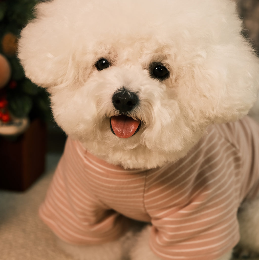 Striped Raglan Sleeve Pet Base Layer Sweatshirt