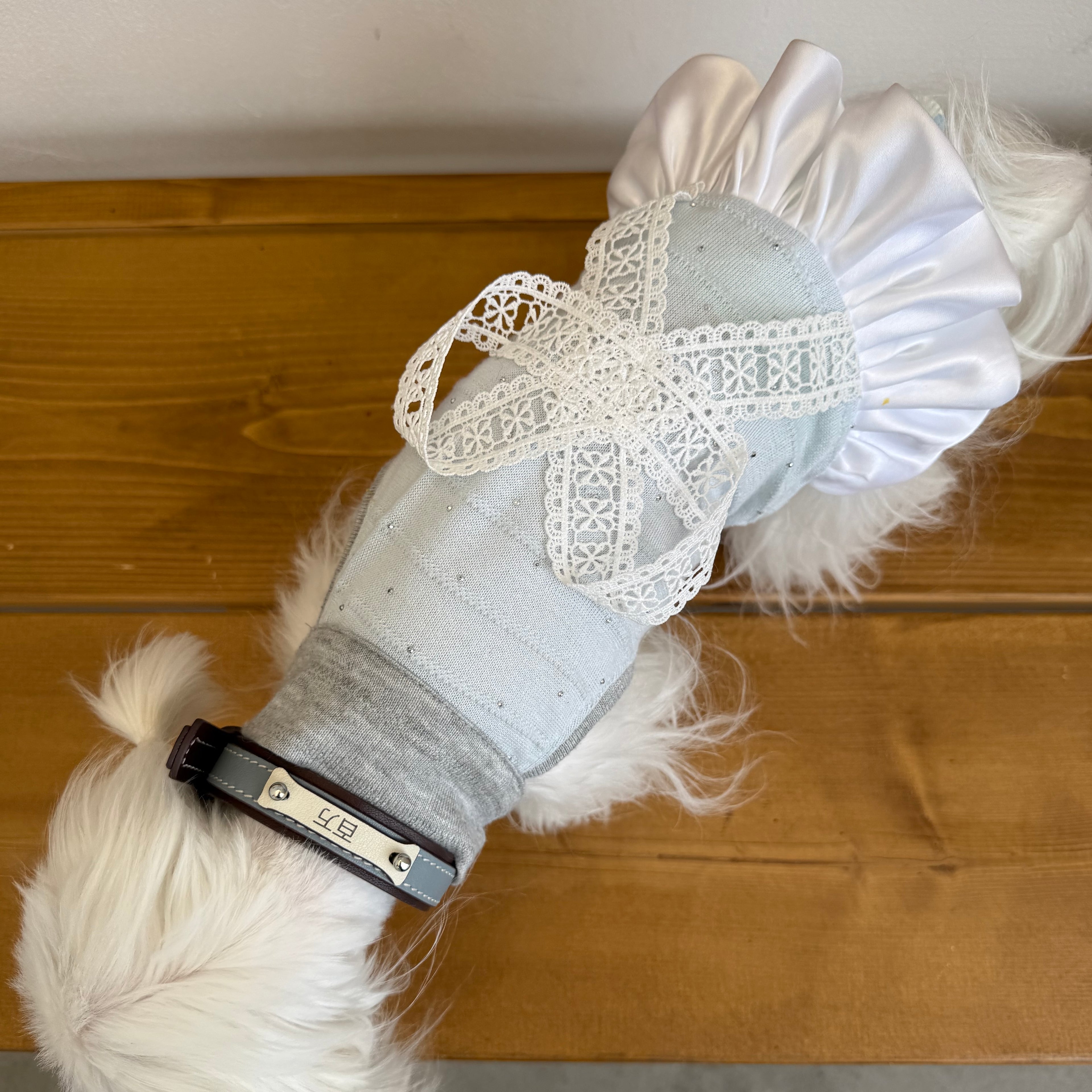 Blue Love Song Lace Pet Dress