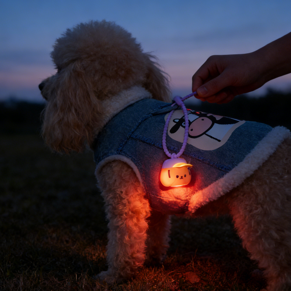 Waterproof Silicone LED Pet Walking Light