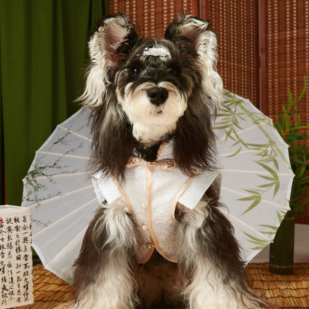 New Chinese Tang Pet Top – Brother Style