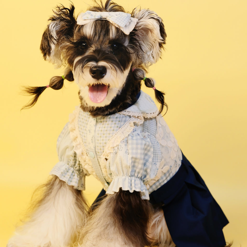 Early Spring Pet Shirt Dress for Small & Medium Dogs