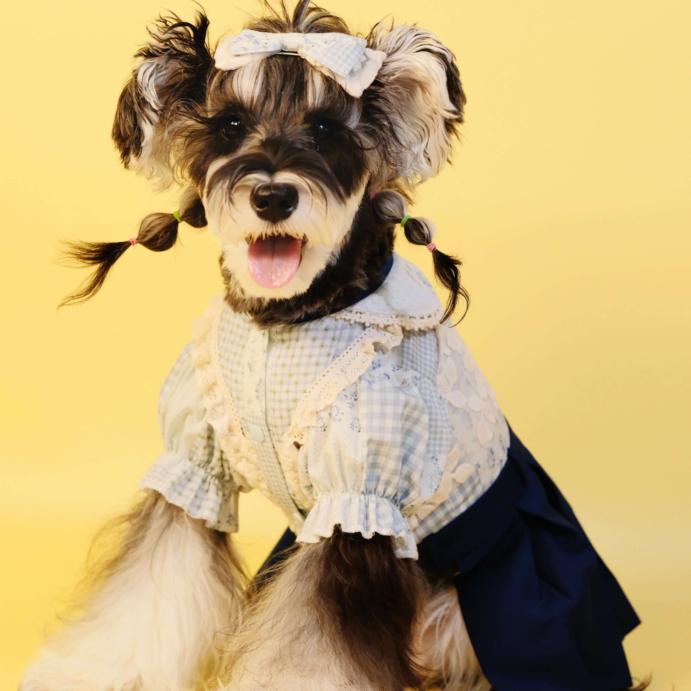 Early Spring Pet Shirt Dress for Small & Medium Dogs