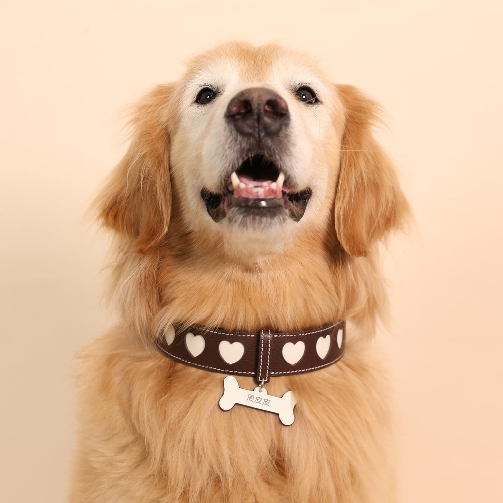 Heartbeat Gift Genuine Leather Custom Pet Collar