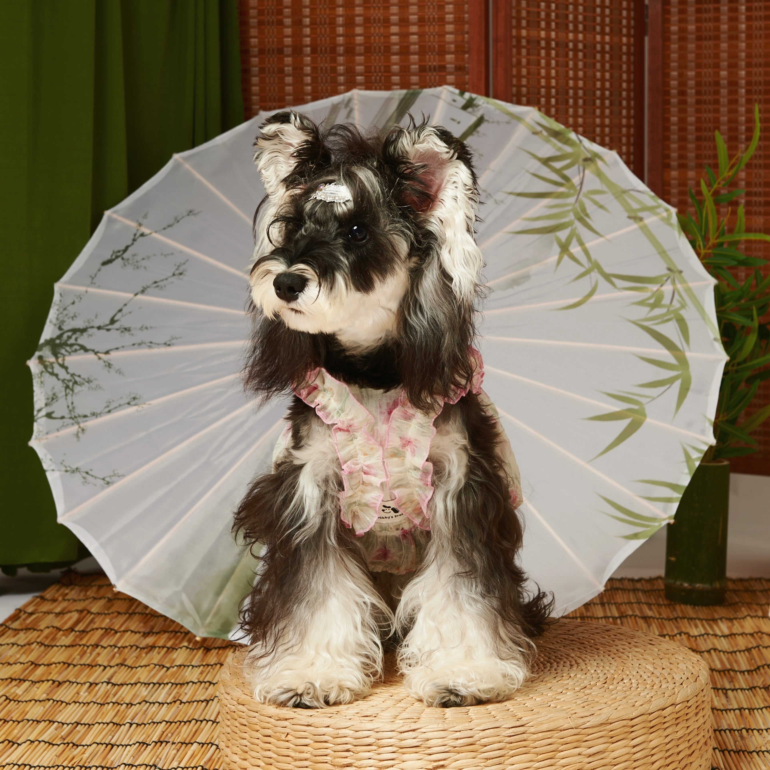 Tencel Bud Pet Dress for Summer