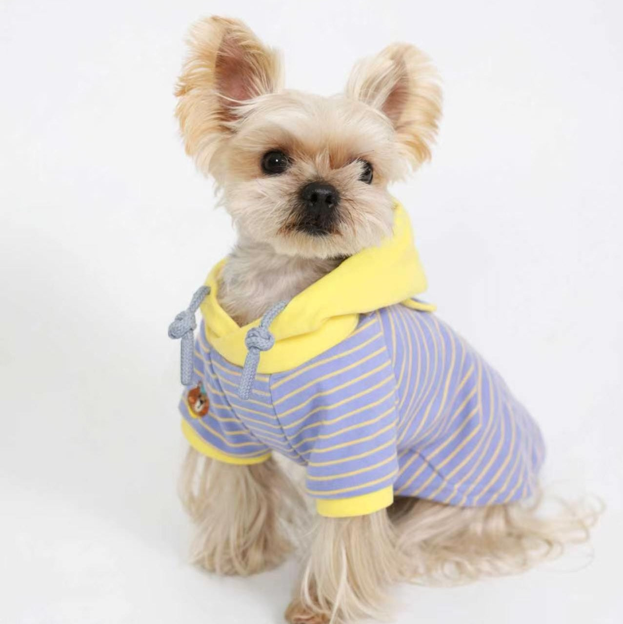 Striped Hooded Pet Sweatshirt
