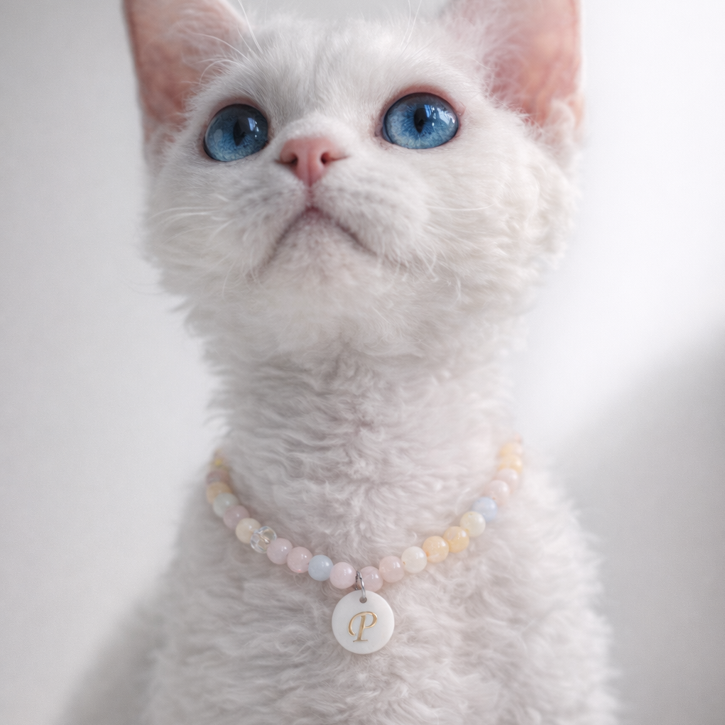 Original Handmade Pet Necklace & Collar Charm